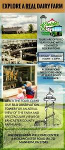 Kreider Farm Tour: Explore a Real Dairy Farm