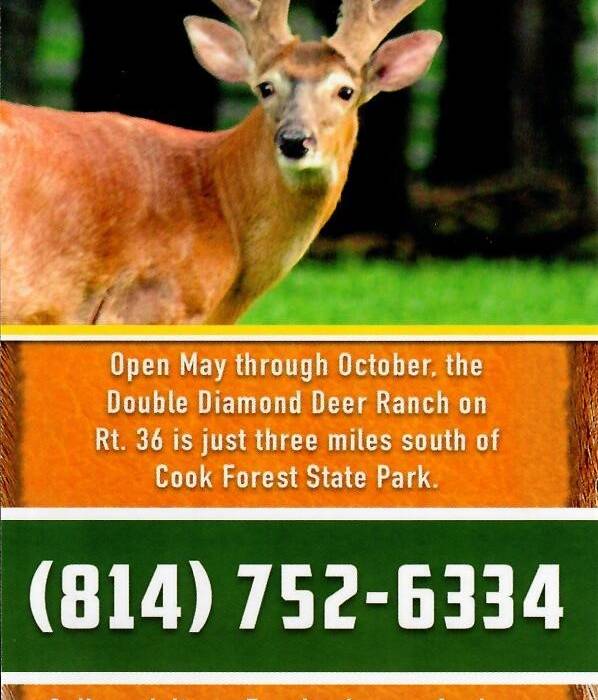 Double Diamond Deer Ranch Getaways On Display