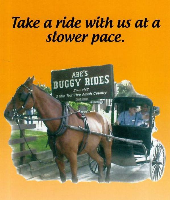 Abe's buggy best sale ride