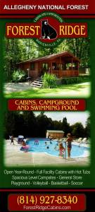 Forest Ridge Cabins, Campground and Swimming Pool