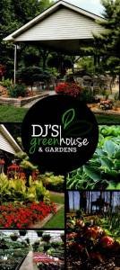 DJ’s Greenhouse & Gardens