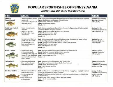 Popular Sportfishes of Pennsylvania