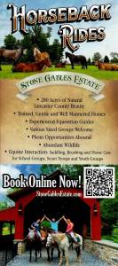 Stone Gables Estate – Horseback Rides