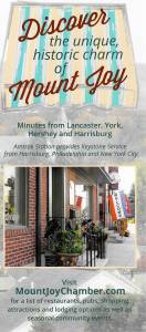Discover Mount Joy