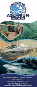 Electric City Aquarium & Reptile Den