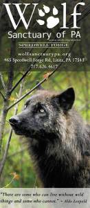 Wolf Sanctuary of PA