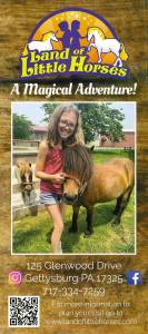 Land of Little Horses