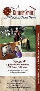 Li’l Country Store & Miniature Horse Farm