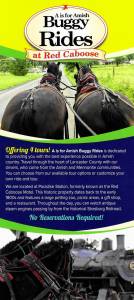 A is for Amish Buggy Rides