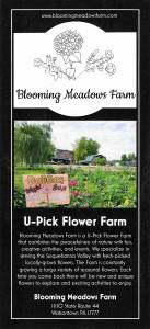 Blooming Meadows Farm