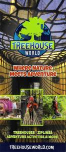 Treehouse World