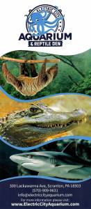 Electric City Aquarium & Reptile Den