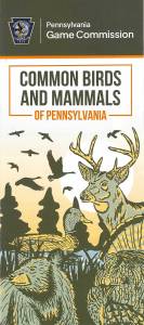 PA Game Commission – Common Birds