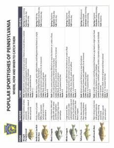 PA Fish & Boat Commission – Popular Sportfishes