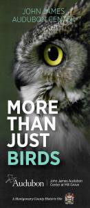 John James Audubon Center – More Than Just Birds